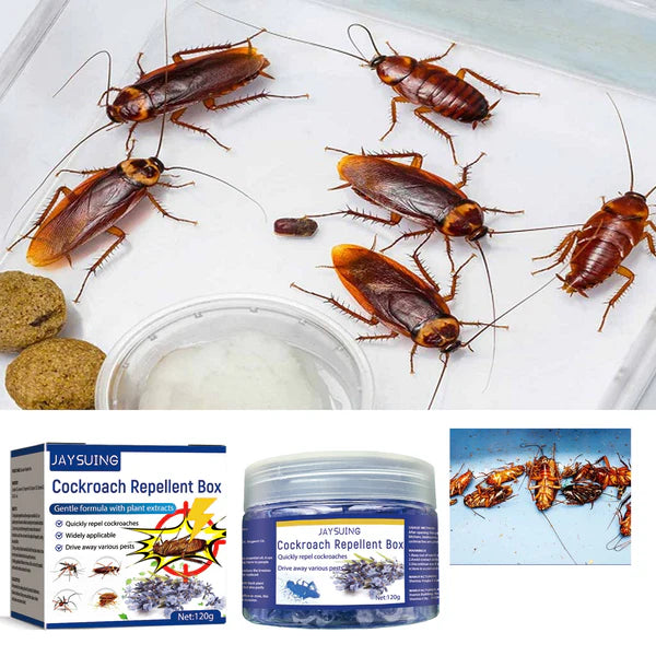 COCKROACH JAYSUING REPELLENT 120g