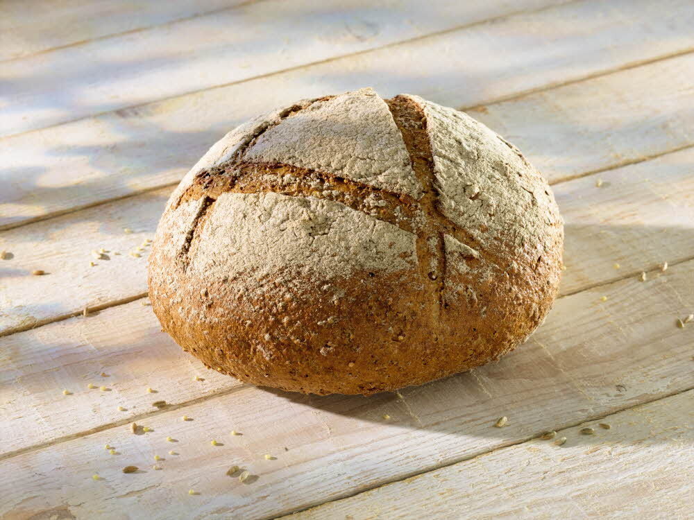 Easy Puravita RYE 10kg