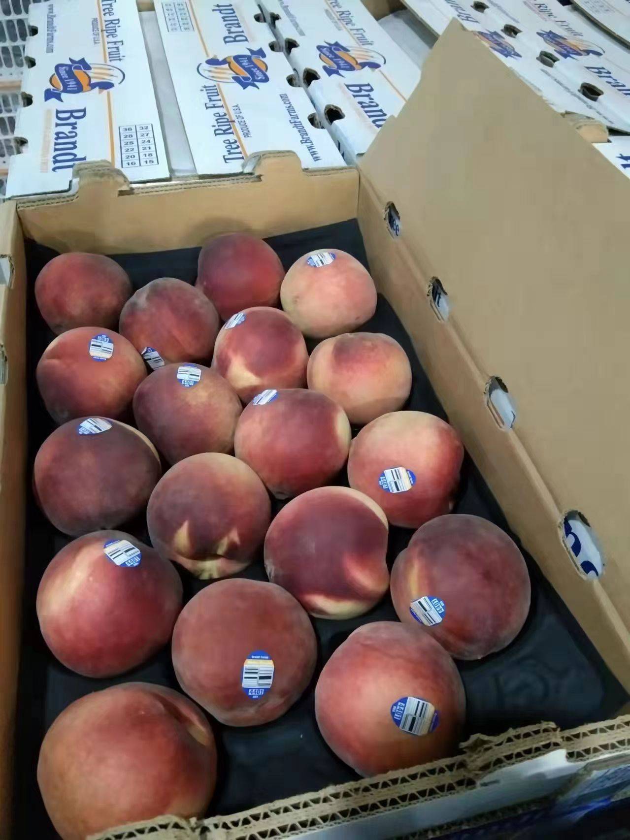 FRUITS SOLD PER BOX