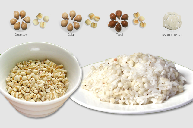 Prime Organics ADLAI 1kg