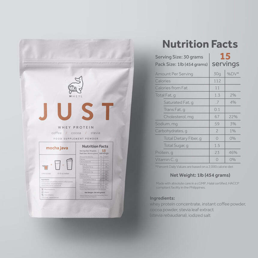 JUST WHEY PROTEIN MOCHA JAVA 1lb (454g) - 15 servings