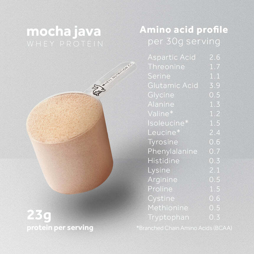 JUST WHEY PROTEIN MOCHA JAVA 1lb (454g) - 15 servings