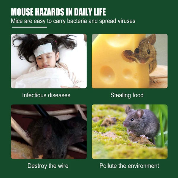 Yegbong MOUSE REPELLENT 10g