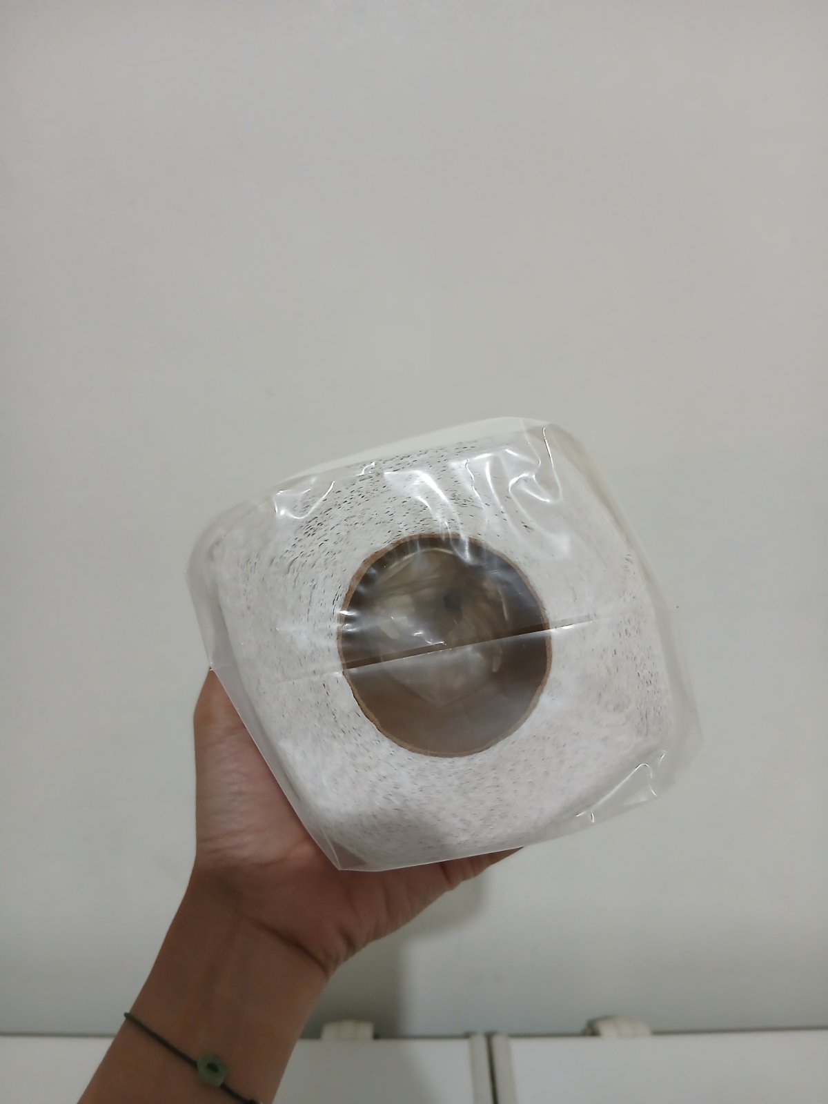 Success bathroom tissue - BTCL 96/1/140 2 ply