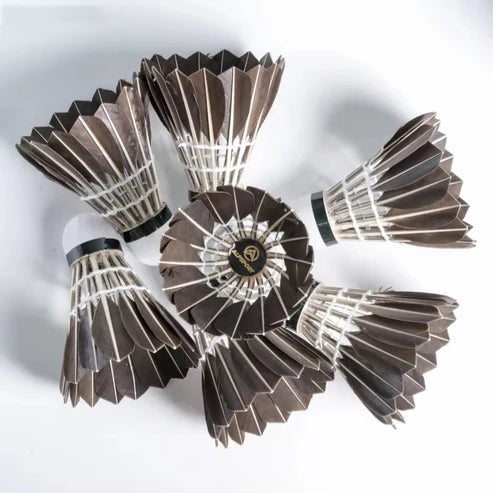 ALPSPORT BLACK Goose Feather Shuttlecocks - 12pcs/Tube